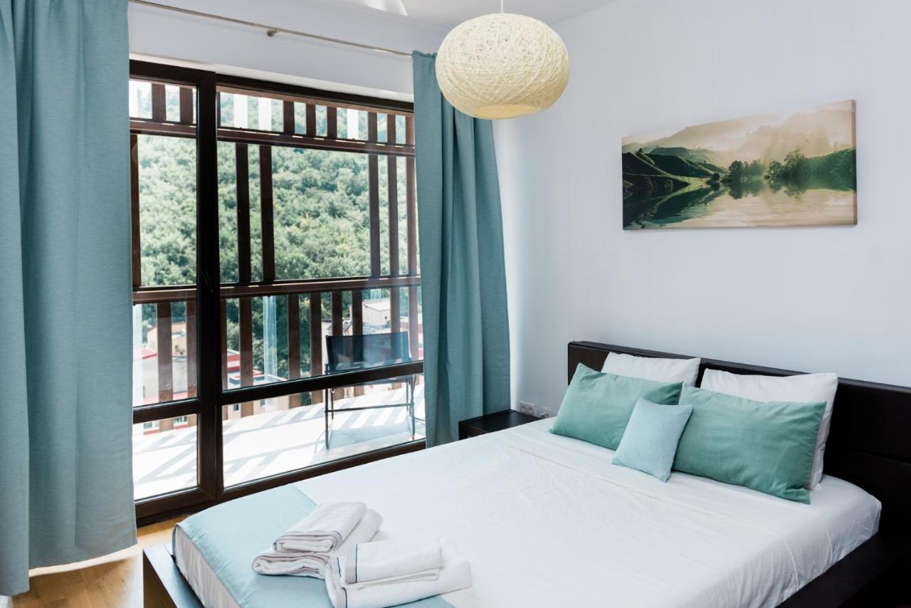 Nature Escape Apartment Braşov Buitenkant foto
